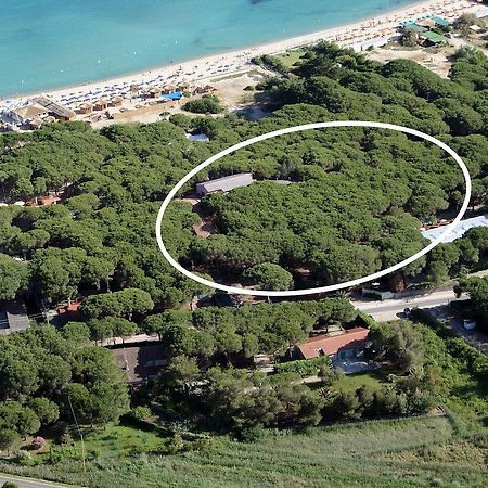 Hotel Villa Nettuno Marina di Campo Exterior foto
